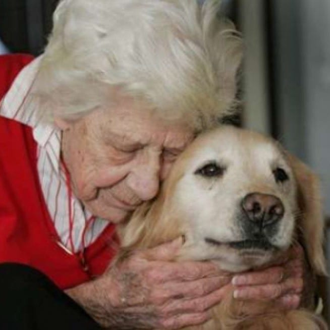 caregiver-canines-featured-image Caregiver Canines Woman and a Therapy Dog