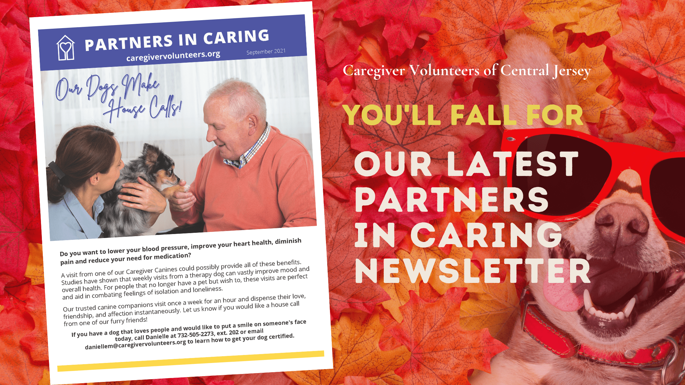 You'll fall for our latest Partners in Caring Newsletter
