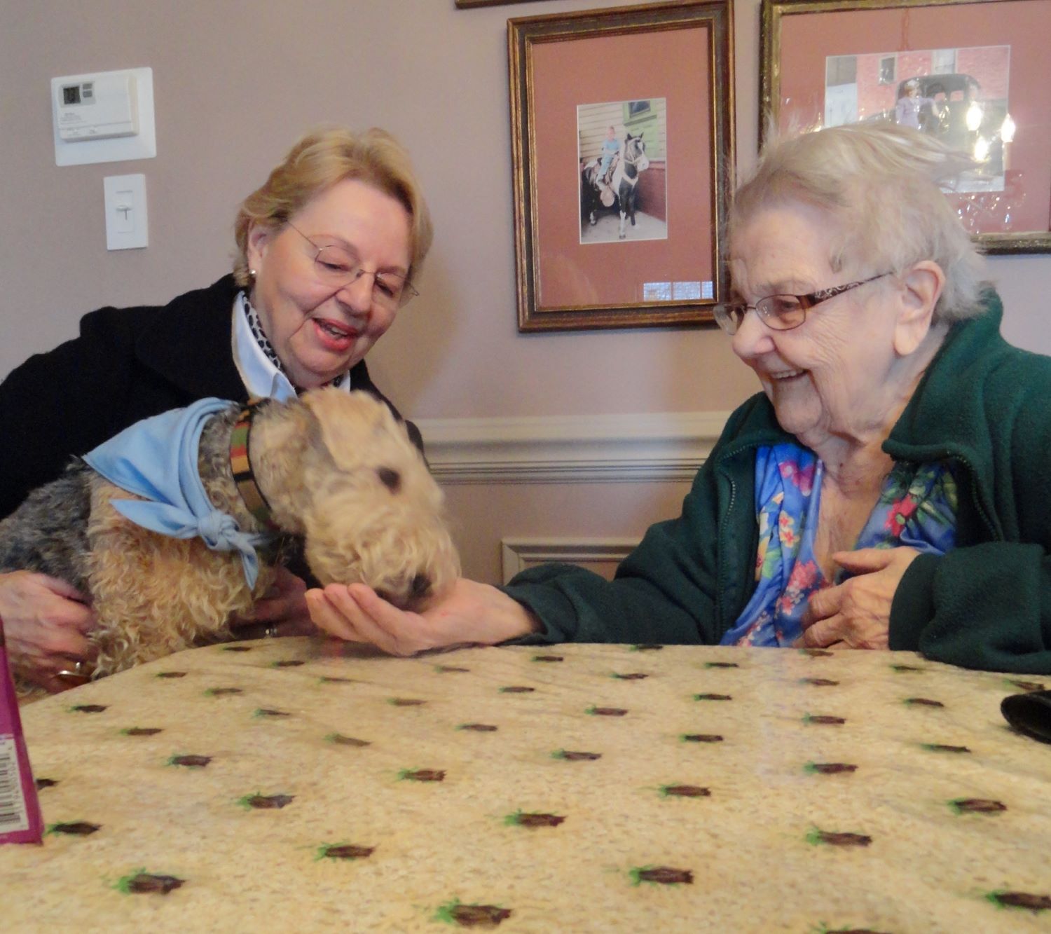 woman holding therapy dog with an older woman sitting next to her
